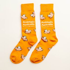 Orange socks with flying pigs over them and the AA logo in white