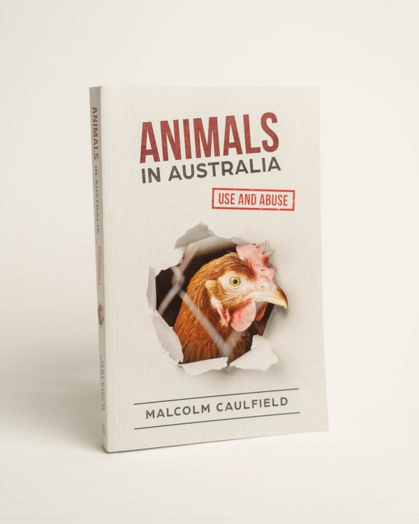 Front cover of 'Animals in Australia' book. Image of a chicken's head behind a wire fence. Text in black and red - 'Animals in Australia. Use and Abuse. Malcolm Caulfield