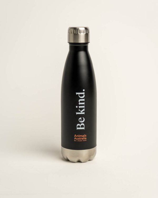 Black drink bottle with silver base and lid. Print says 'Be kind' and includes the AA logo in orange