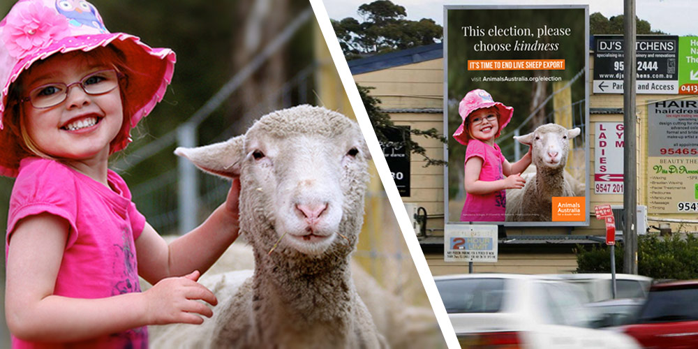 Isabelle and Darcy at Freedom Hill Sanctuary