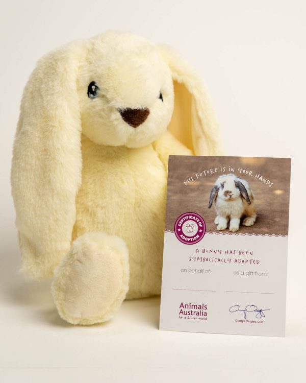 Plush bunny with adoption certificate