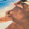 Close up image of the hand patting a cow's nose on the 'Connection' tea towel